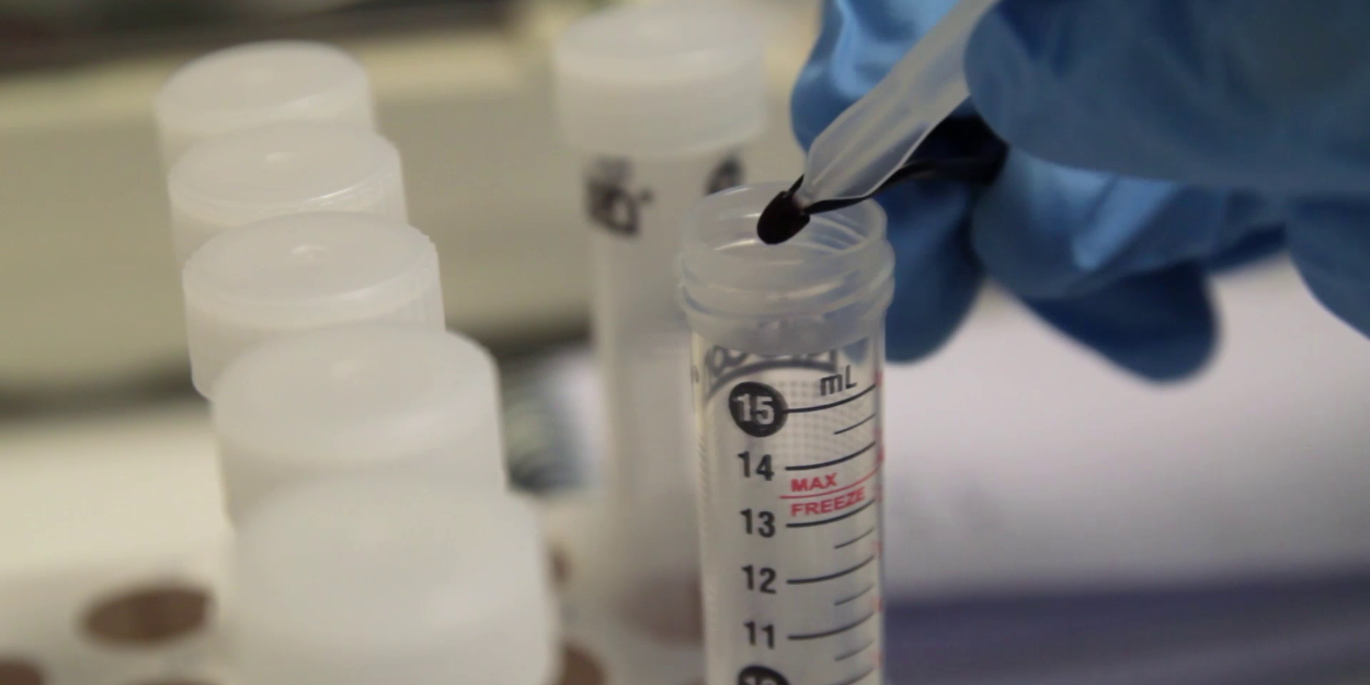 vlcsnap-2019-03-28-12h17m13s667