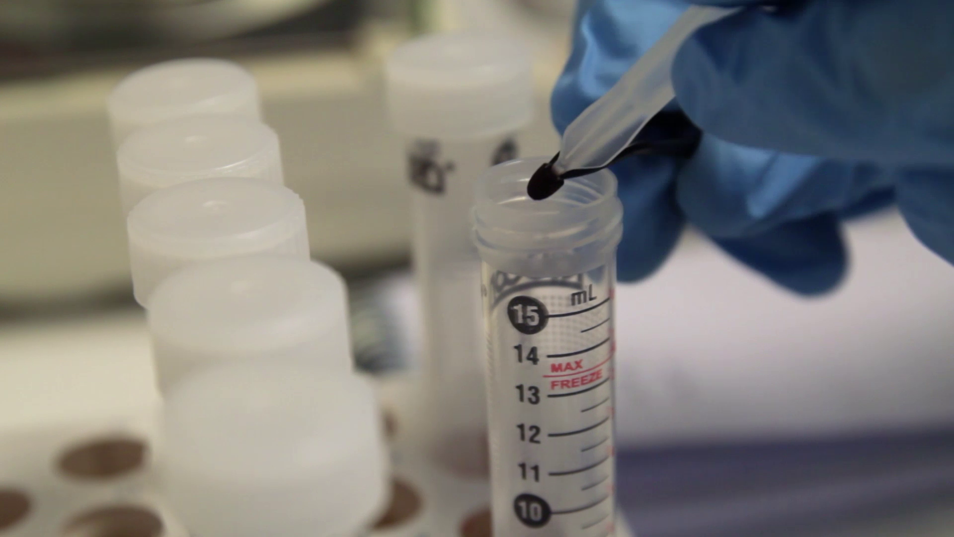 vlcsnap-2019-03-28-12h17m13s667