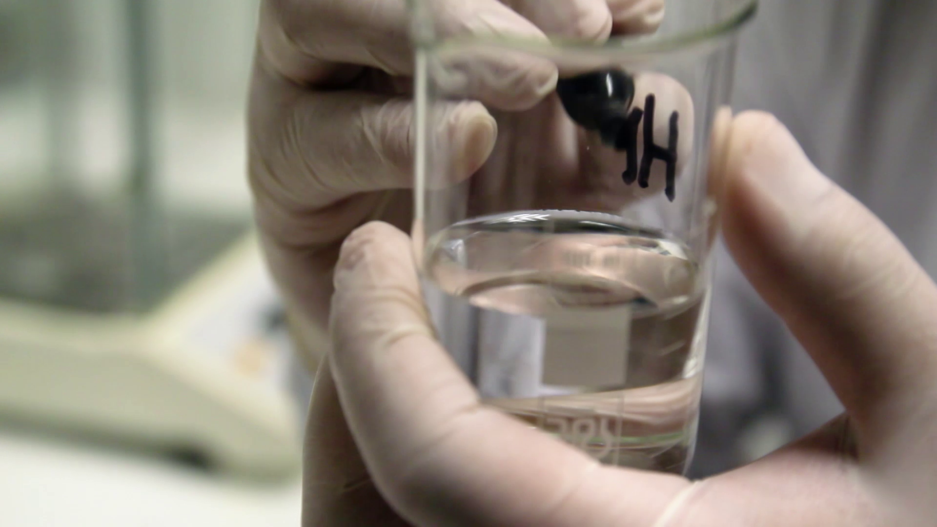 vlcsnap-2020-03-04-13h24m09s268